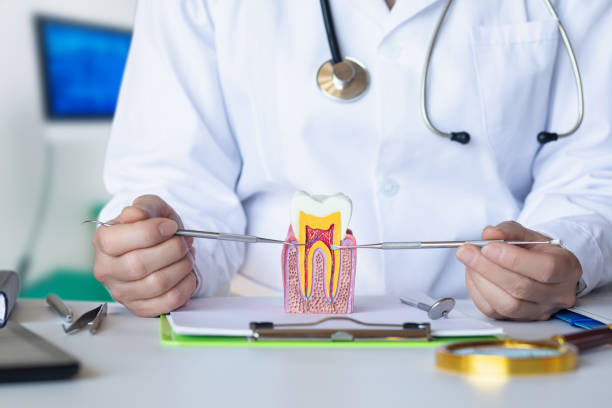 Best After-Hours Dental Trauma Care in Arbury Hls, IL